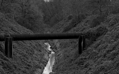 Компас и карта: локальный pipeline тест (local-pipeline-compass-test)